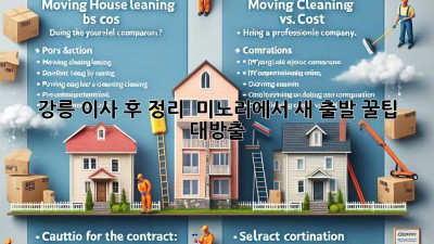 강릉 이사 후 정리 ✨ 미노리에서 새 출발, 꿀팁 대방출! 🏡